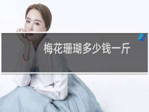 梅花珊瑚多少钱一斤