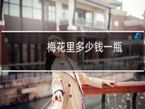 梅花里多少钱一瓶