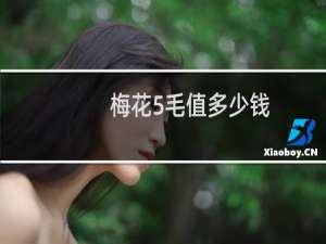 梅花5毛值多少钱