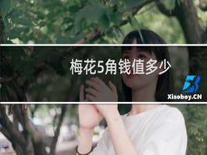梅花5角钱值多少
