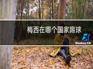 梅西在哪个国家踢球