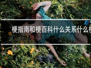 梗指南和梗百科什么关系什么梗