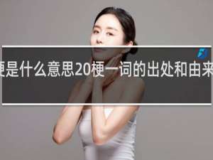 梗是什么意思 梗一词的出处和由来什么梗