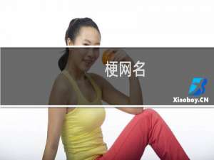 梗网名