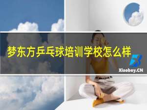 梦东方乒乓球培训学校怎么样