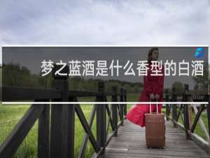 梦之蓝酒是什么香型的白酒
