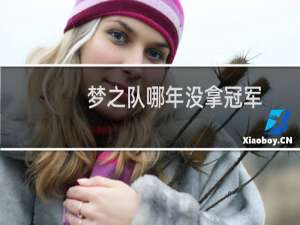 梦之队哪年没拿冠军