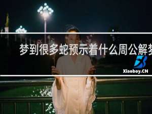 梦到很多蛇预示着什么周公解梦