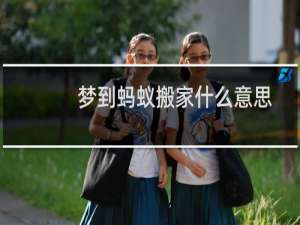 梦到蚂蚁搬家什么意思