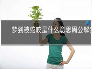 梦到被蛇咬是什么意思周公解梦