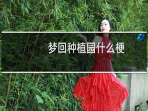 梦回种植园什么梗