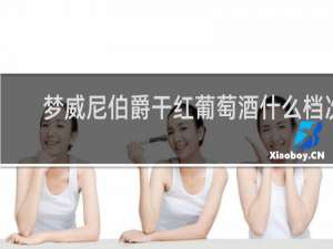 梦威尼伯爵干红葡萄酒什么档次
