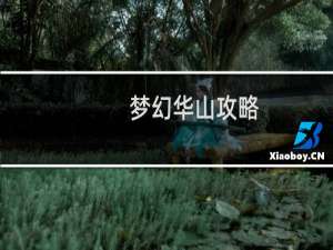 梦幻华山攻略