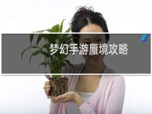 梦幻手游蜃境攻略