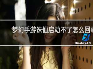 梦幻手游诛仙启动不了怎么回事