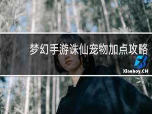 梦幻手游诛仙宠物加点攻略