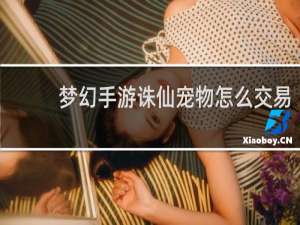 梦幻手游诛仙宠物怎么交易