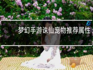 梦幻手游诛仙宠物推荐属性