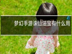 梦幻手游诛仙法宝有什么用