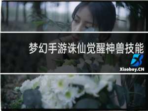梦幻手游诛仙觉醒神兽技能