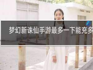 梦幻新诛仙手游最多一下能充多钱