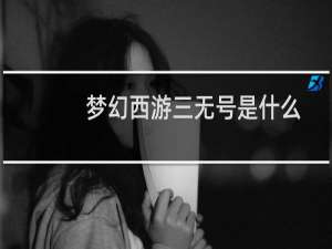 梦幻西游三无号是什么