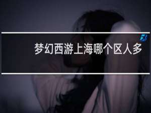 梦幻西游上海哪个区人多
