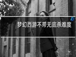 梦幻西游不带无底杀难度