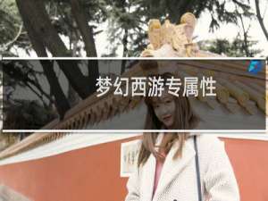 梦幻西游专属性