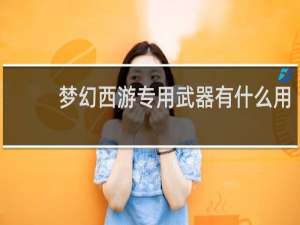 梦幻西游专用武器有什么用