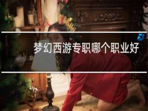 梦幻西游专职哪个职业好