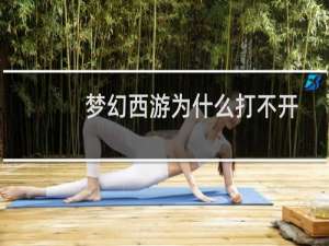 梦幻西游为什么打不开