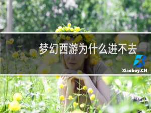 梦幻西游为什么进不去