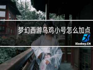 梦幻西游乌鸡小号怎么加点