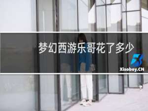 梦幻西游乐哥花了多少