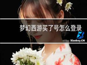梦幻西游买了号怎么登录