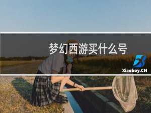 梦幻西游买什么号