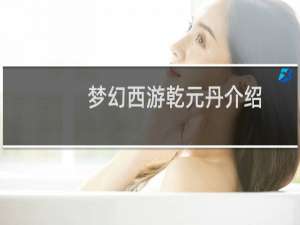 梦幻西游乾元丹介绍