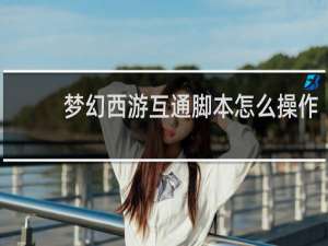 梦幻西游互通脚本怎么操作