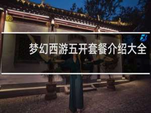 梦幻西游五开套餐介绍大全