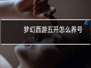 梦幻西游五开怎么养号