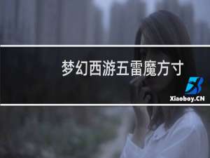 梦幻西游五雷魔方寸