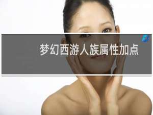 梦幻西游人族属性加点
