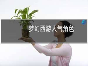 梦幻西游人气角色