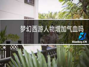 梦幻西游人物增加气血吗