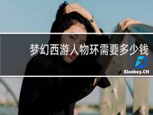 梦幻西游人物环需要多少钱
