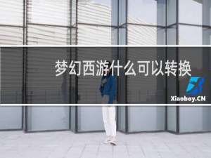梦幻西游什么可以转换