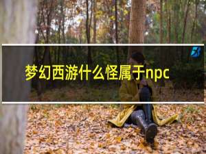 梦幻西游什么怪属于npc