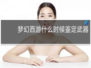 梦幻西游什么时候鉴定武器
