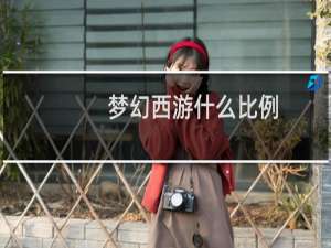梦幻西游什么比例